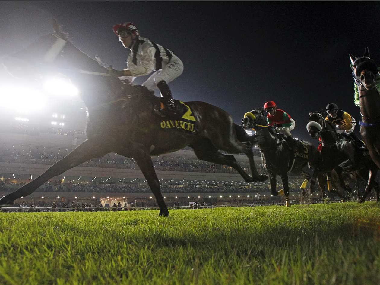 High resolution nighttime horse racing with dramatic lighting