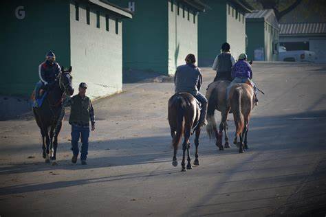 Mountaineer Park - Horses and jockeys in stable area preparing for races